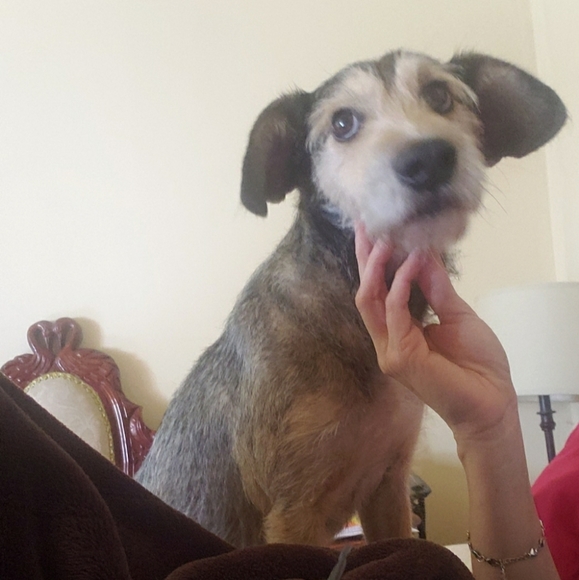 Steven - Picture 4 of 7